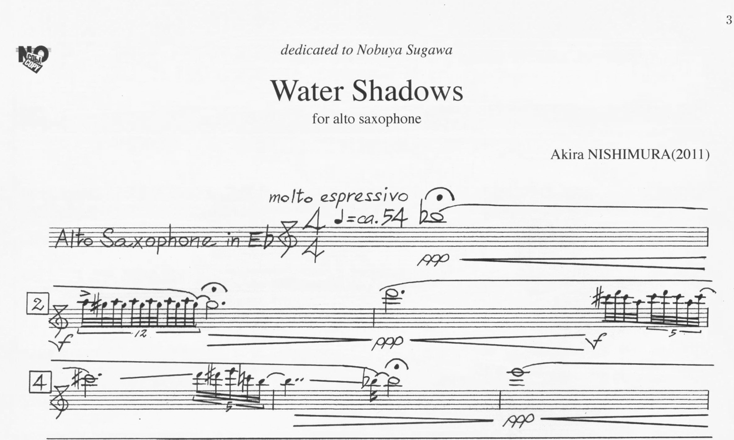Water Shadows - Akira Nishimura