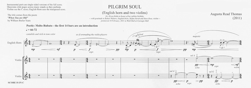 Pilgrim Soul - Augusta Read Thomas