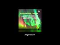 Pilgrim Soul - Augusta Read Thomas