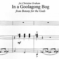 In a Goolagong Bog