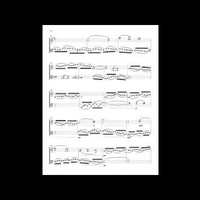 Duo Concertante - Roberto Sierra