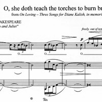 O, she doth teach the torches to burn bright!
