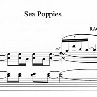 Sea Poppies