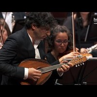 Mandolin concerto