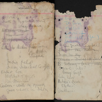 Excerpts from Snow's diary from his trip to Stalingrad, Russia